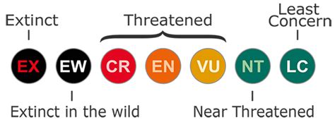 iucn vulnerable meaning