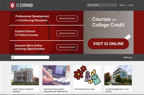 iupui online courses