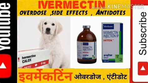 ivermectin side effects in dogs