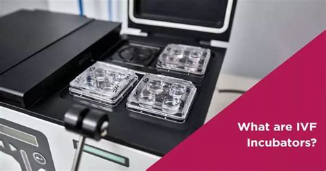 Ivf Lab Incubators