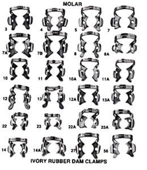 Ivory Rubber Dam Clamp Chart