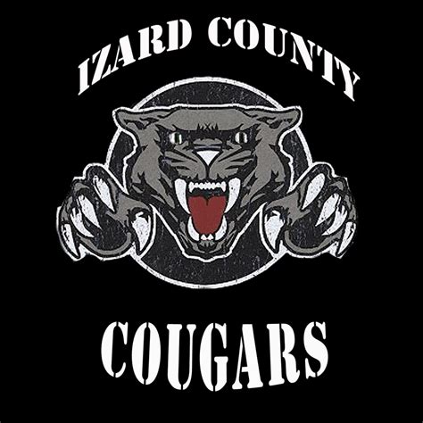 izard county school district arkansas
