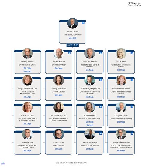 j.p. morgan hierarchy structure