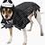 jack skellington costume for dogs