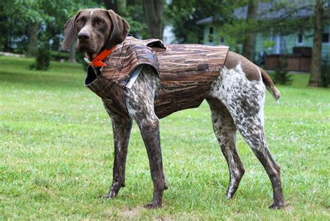 Jackets For Gsp Dogs