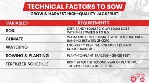Jackfruit Soil Requirements