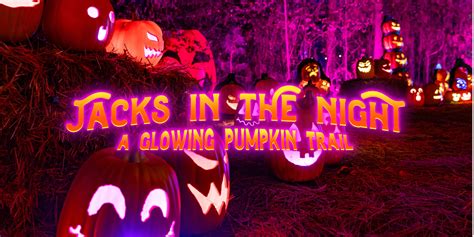 jacks ultimate adventure