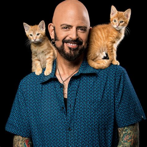 Jackson Galaxy Cat Help