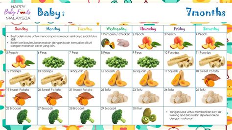 jadwal makan bayi 6 bulan