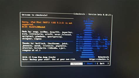 jailbreak ipad mini 9.3 5 checkra1n
