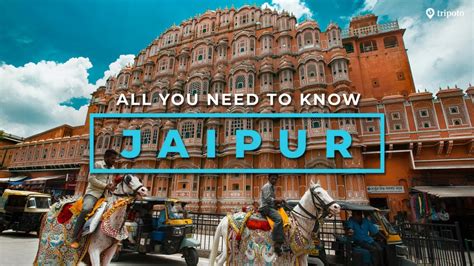 jaipur tour and travel package