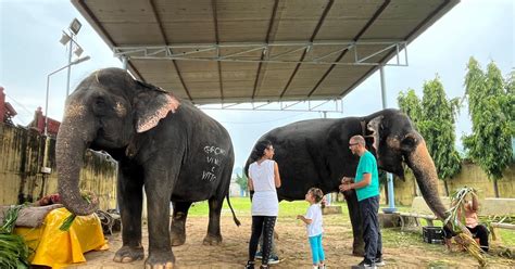 Jaipur Elephant Sanctuary