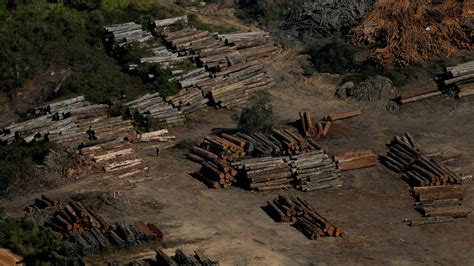 jair bolsonaro deforestation
