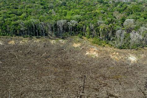 jair bolsonaro policies for deforesation