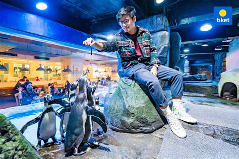 jakarta aquarium safari harga tiket