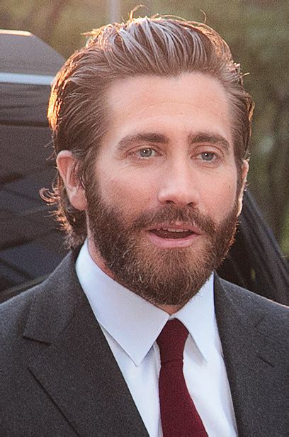 jake gyllenhaal filmography wiki