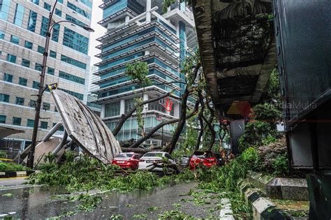 jalan sultan ismail pokok tumbang