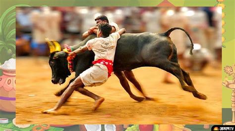 jallikattu is associated with which festival
