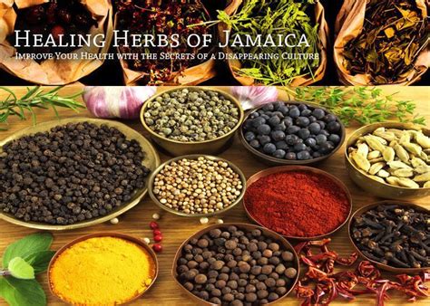 jamaican herbs for healing