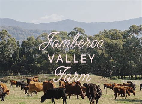 jamberoo valley farm