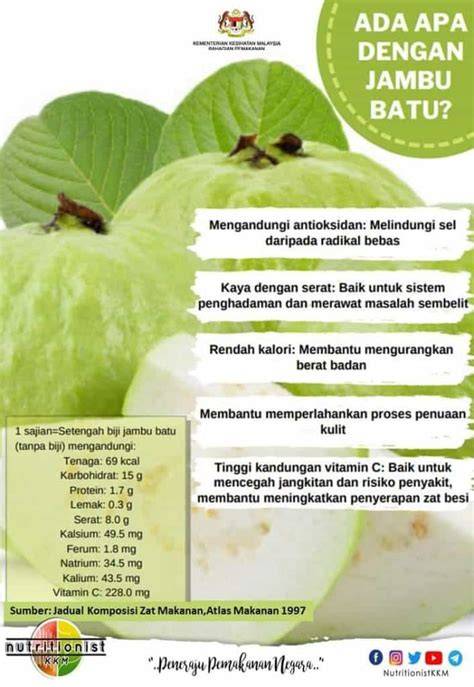 Jambu Batu Tinggi Serat