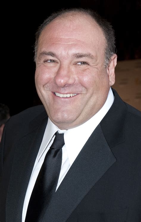 James Gandolfini Nice Guy