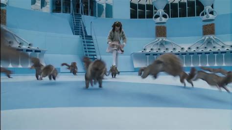 james limits veruca no