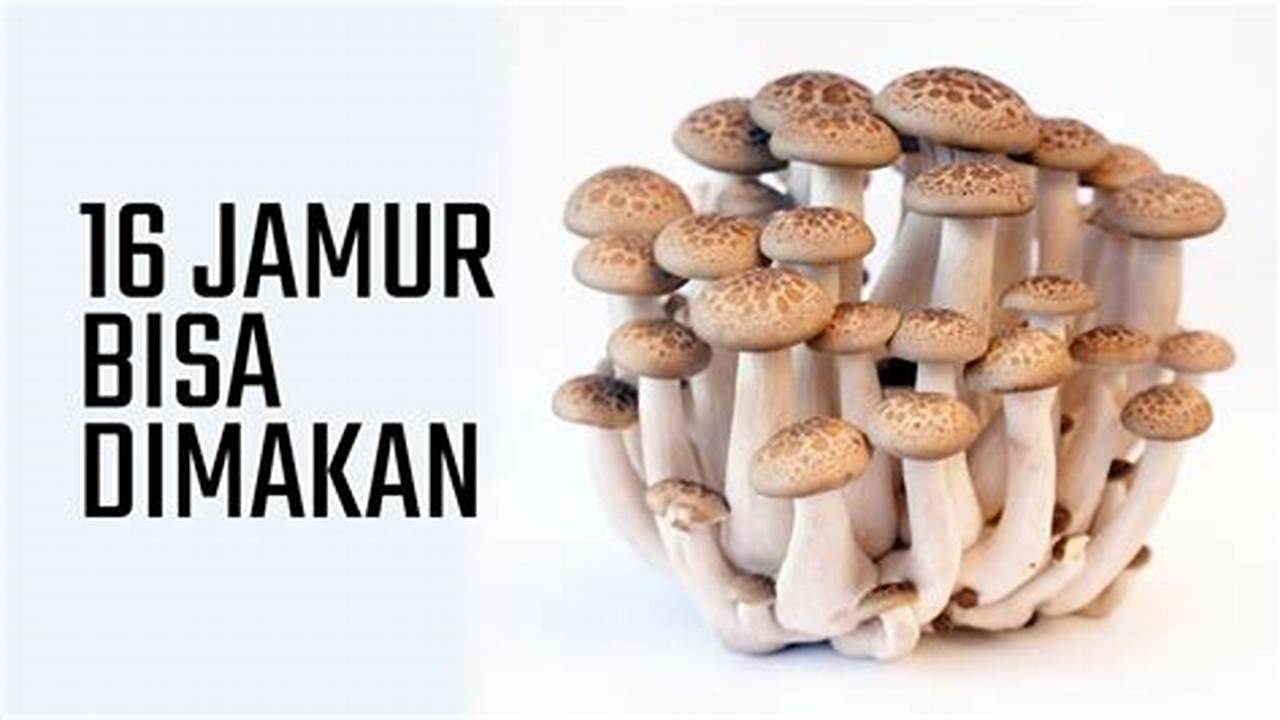 Resep Jamur Tankos Sawit: Nikmat, Sehat, Kaya Manfaat