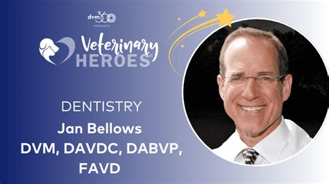 Jan Bellows Veterinary Dentistry