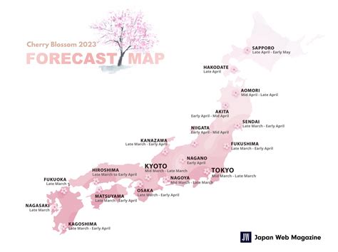 japan cherry blossom season 2024