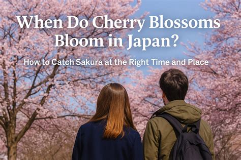 Japan Timing Right Now