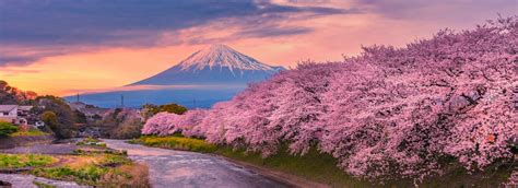 japan tours packages 2024