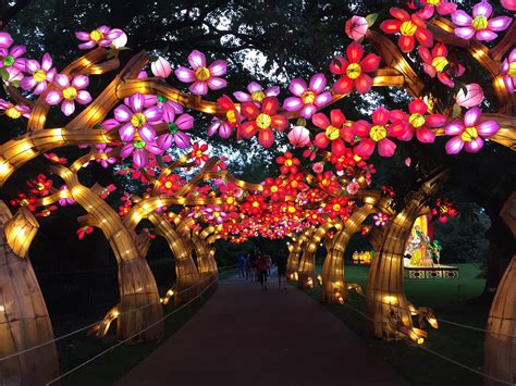 Japanese Festival Botanical Garden