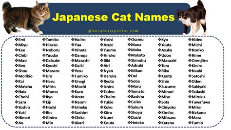 Japanese Cat Names for Female