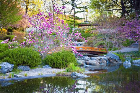 DOWNLOAD Japanese Garden Notes A Visual Guide to Elements and Design