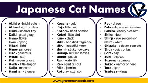japanese names for girls meaning cat