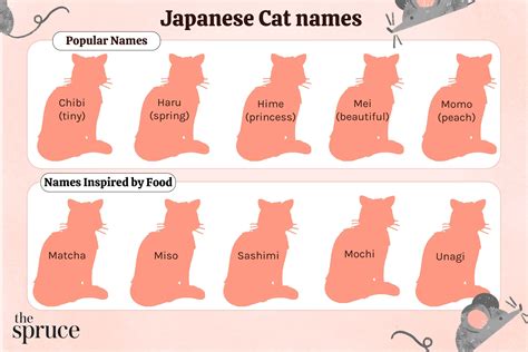 japanese pet names for cats