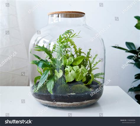 jar ecosystem