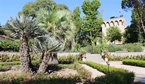 Jardin Des Plantes De Montpellier Le Ville