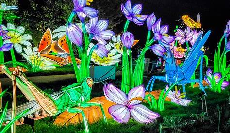 Jardin Des Plantes Lumiere Océan En Voie D'Illumination, Le Festival Lumières Du