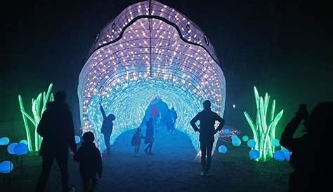 Jardin Des Plantes Luminaires Paris Le Féérique Festival Lumières Du