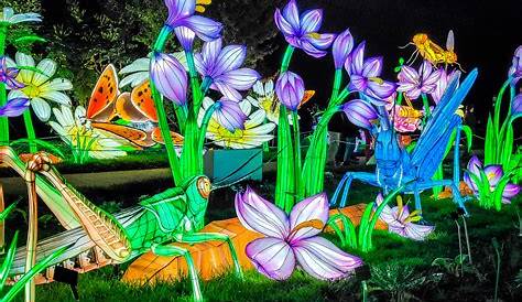 Jardin Des Plantes Paris Festival Des Lumieres Of Lights Illumination