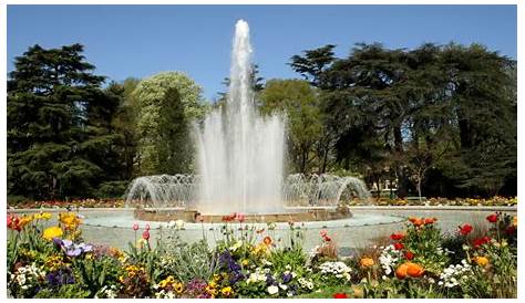 Jardin Des Plantes Toulouse Park And Garden
