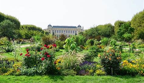Jardin Des Plantes Of Nantes Botanical Gardens