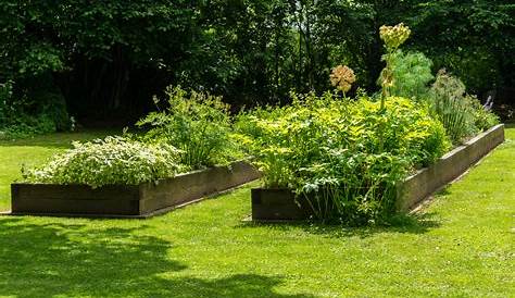 Potager carré nos conseils pour le réussir ! Marie Claire