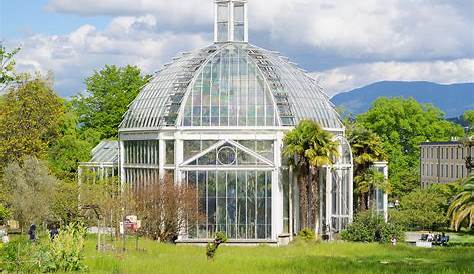 Jardin Et Decoration Geneve Botanique Genève Pas Cher