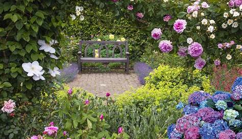 Jardin romantique (bleu, mauve...) Les conseils de Willemse