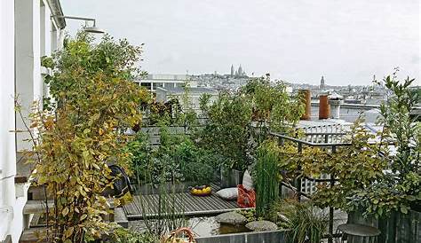 Jardin Toit Paris Le Potager Sur Le De L'espace Jean Dame