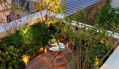 Jardin Toit Terrasse Sur Le Ou Comment Choisir Entre Vert Et