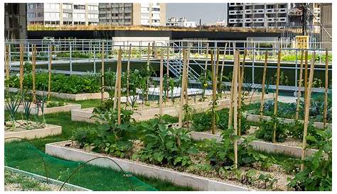 Jardin et terrasse en ville 75 idées pour jardin sur le toit